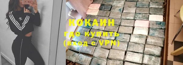 прущий лед Алзамай