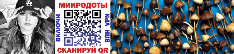 дарнет шоп  Чебаркуль  Псилоцибиновые грибы MAGIC MUSHROOMS 
